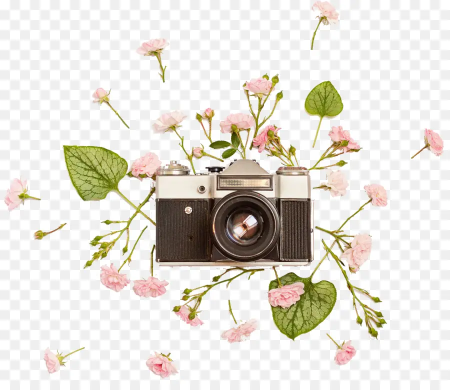 Appareil Photo Vintage，Fleurs PNG