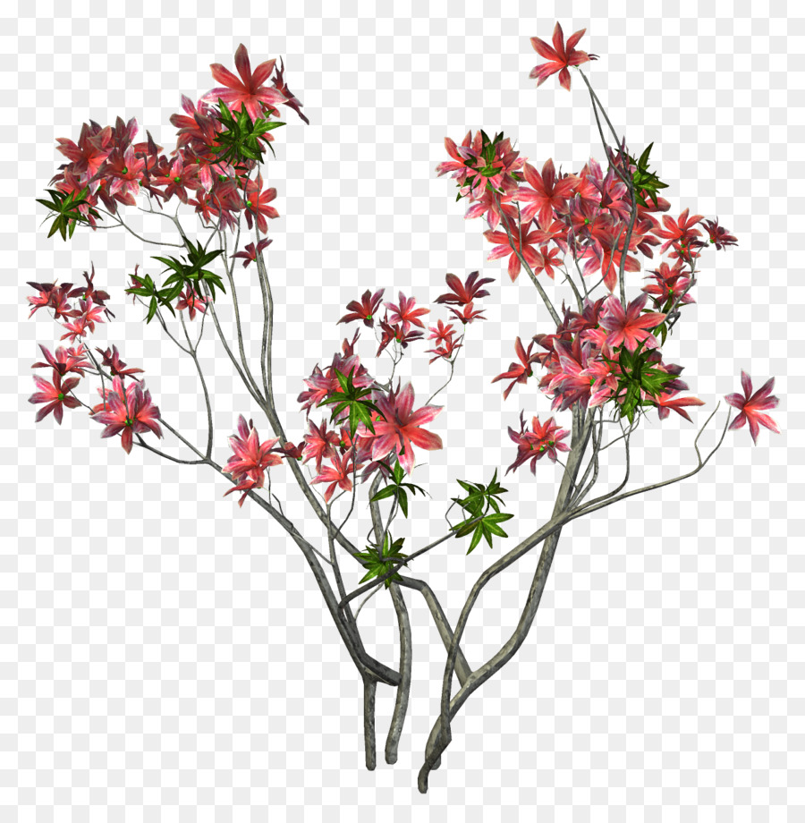 Plante à Fleurs，Fleurs PNG