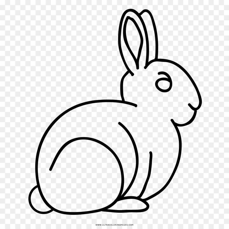 Un Lapin Domestique Le Lievre Le Lapin Europeen Png Un Lapin Domestique Le Lievre Le Lapin Europeen Transparentes Png Gratuit