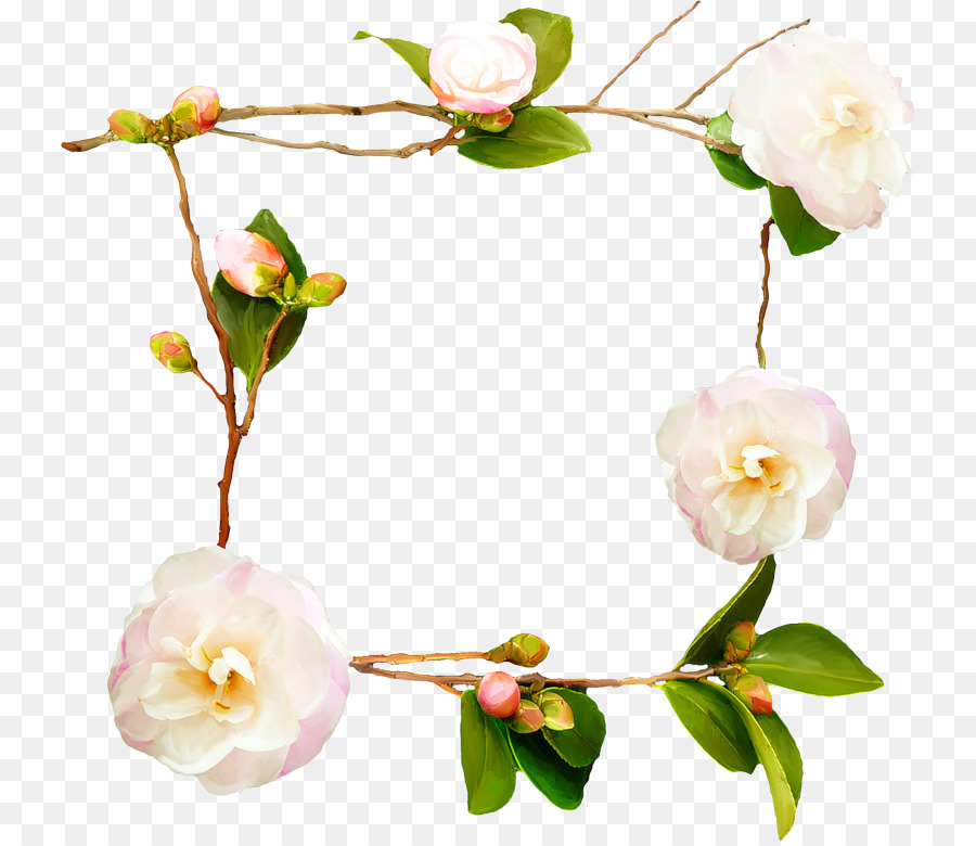 Couronne Florale，Fleurs PNG