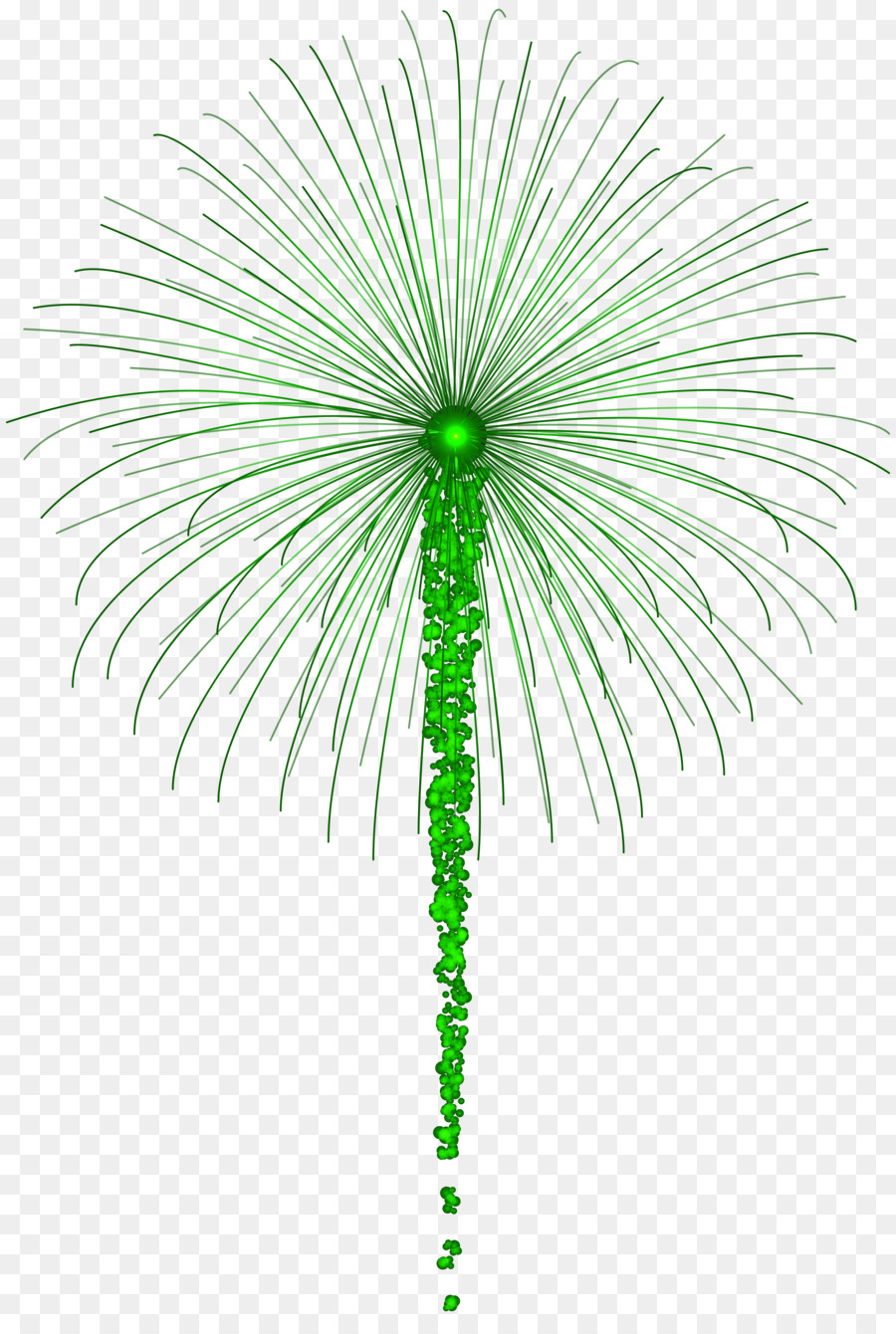 Feu D'artifice，Vert PNG