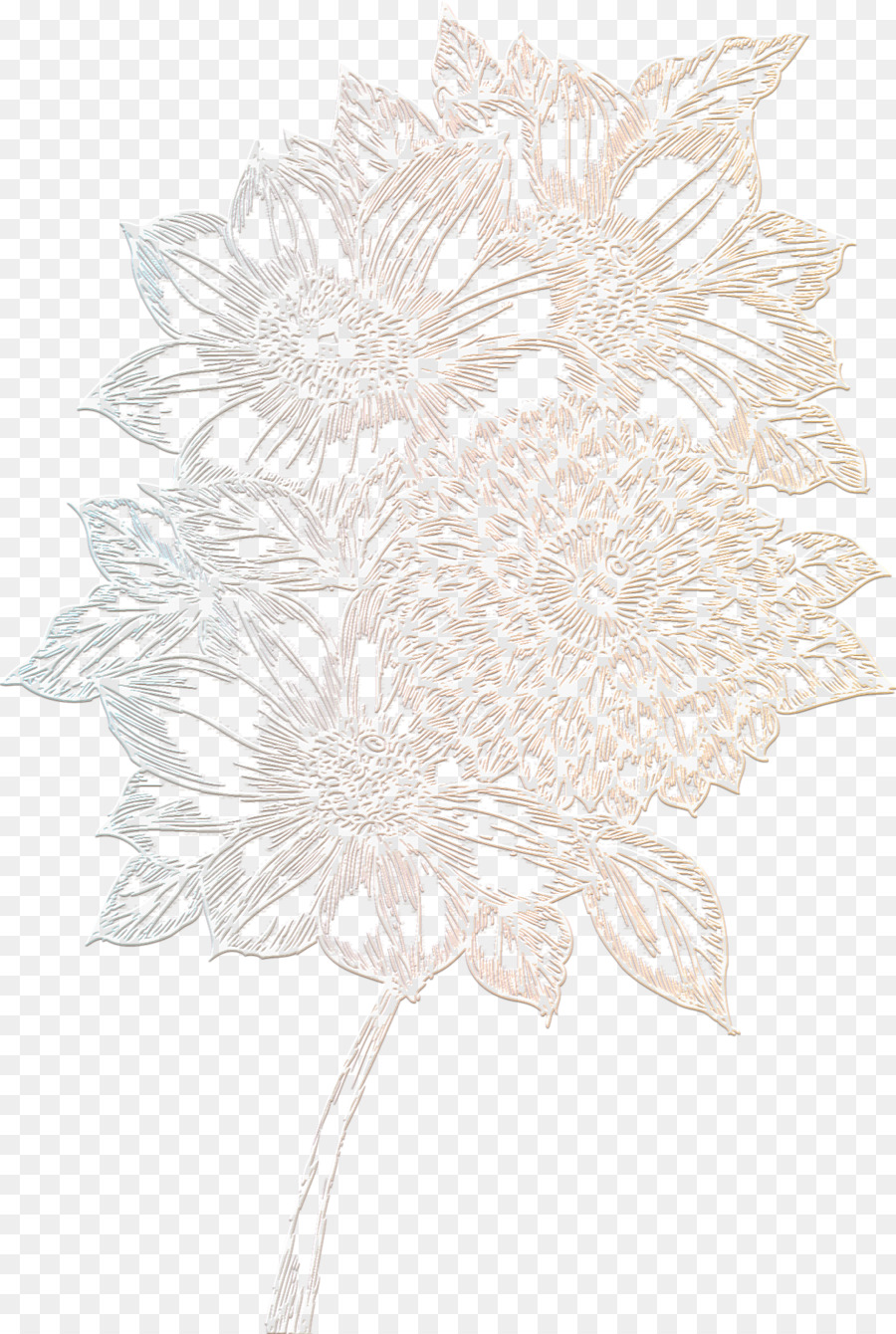 Design Floral，Monochrome PNG