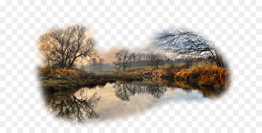 Paysage D'automne，Arbres PNG