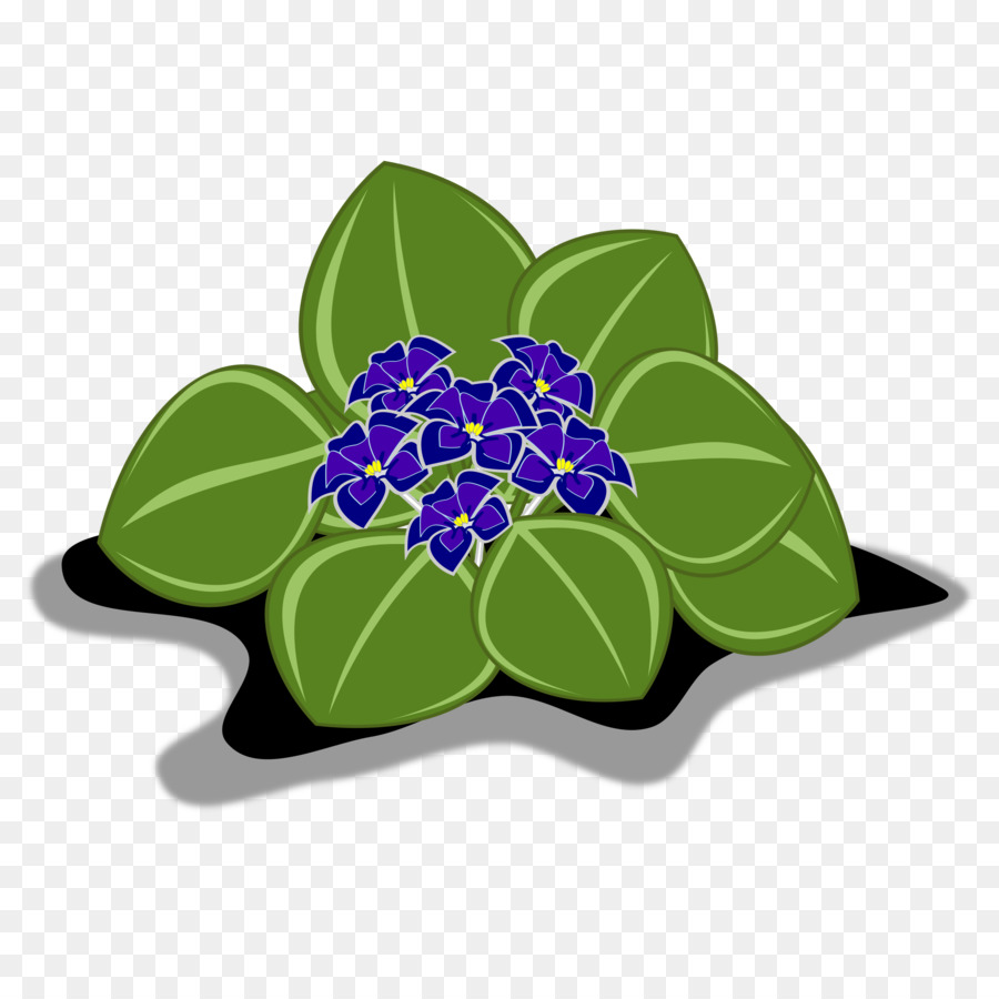 Fleurs Violettes，Feuilles PNG