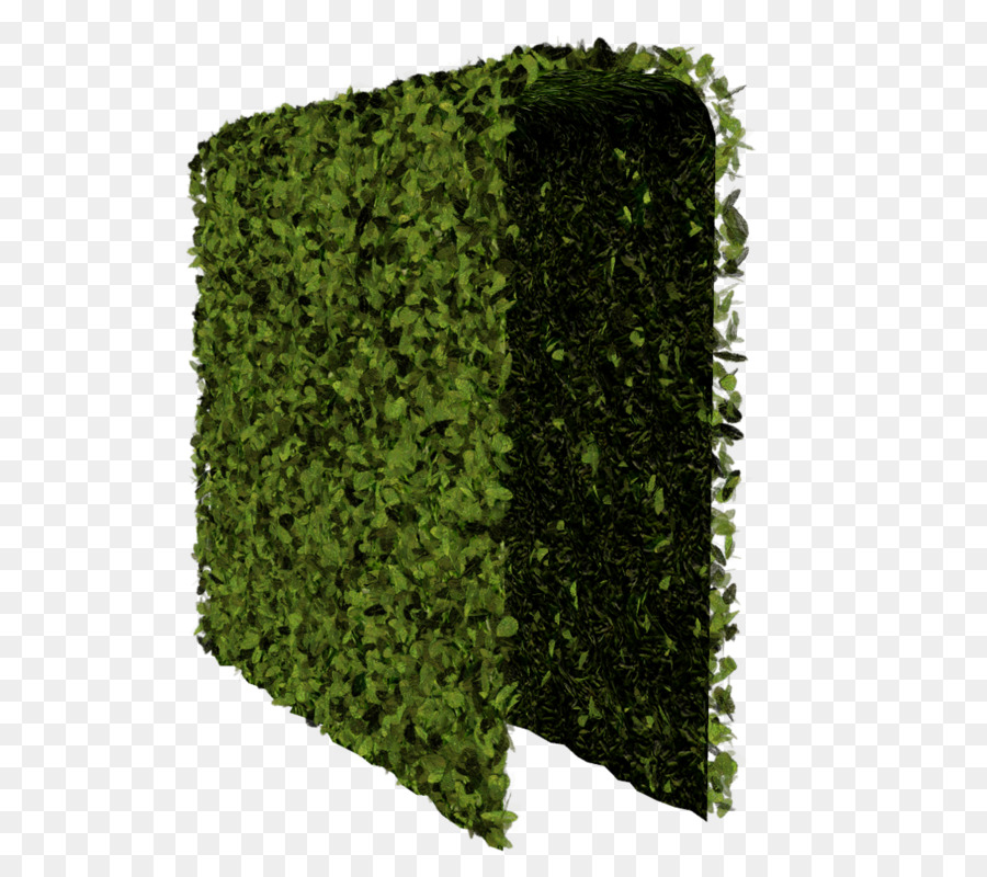 haie arbre arbuste png haie arbre arbuste transparentes png gratuit haie arbre arbuste png haie arbre