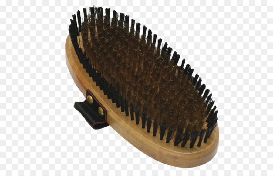 Brosse，Matériel PNG