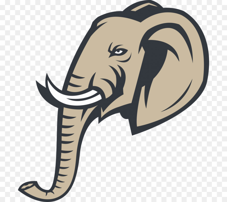 Tête D'éléphant，Éléphant PNG