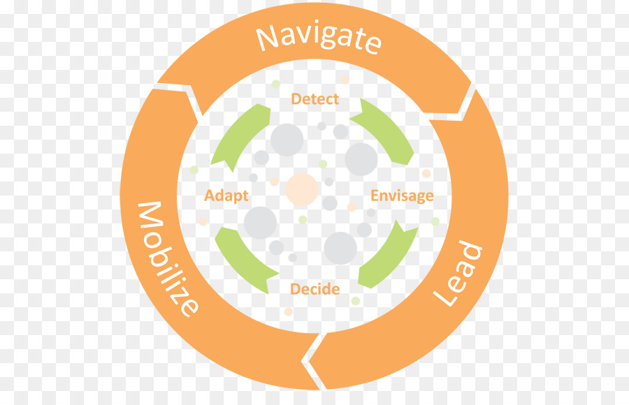 Développement Web，Le Développement De Systèmes Cycle De Vie PNG