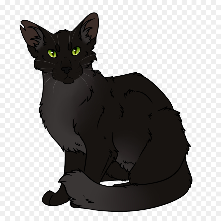 Chat Noir，Animal De Compagnie PNG