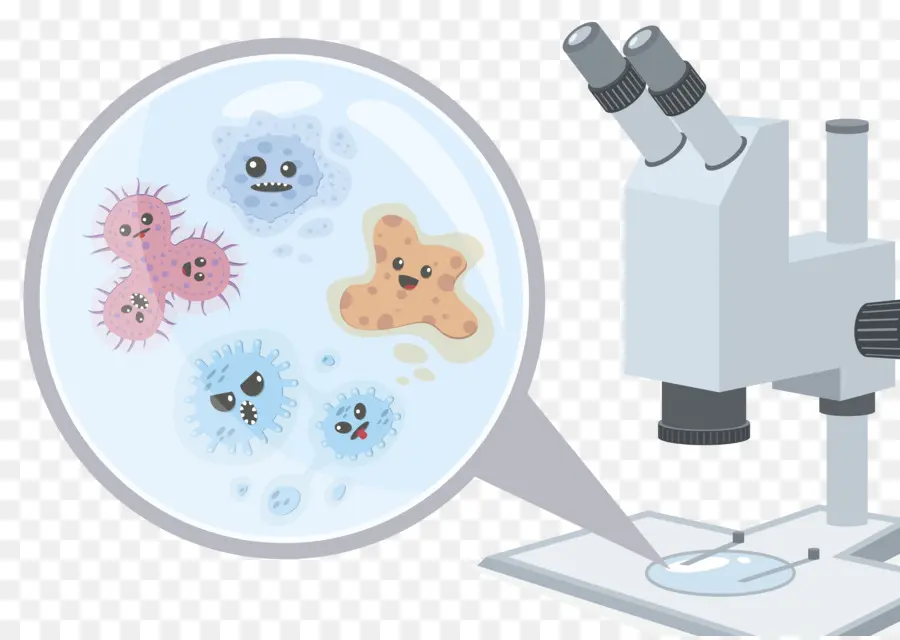 Microbes，Bactéries PNG