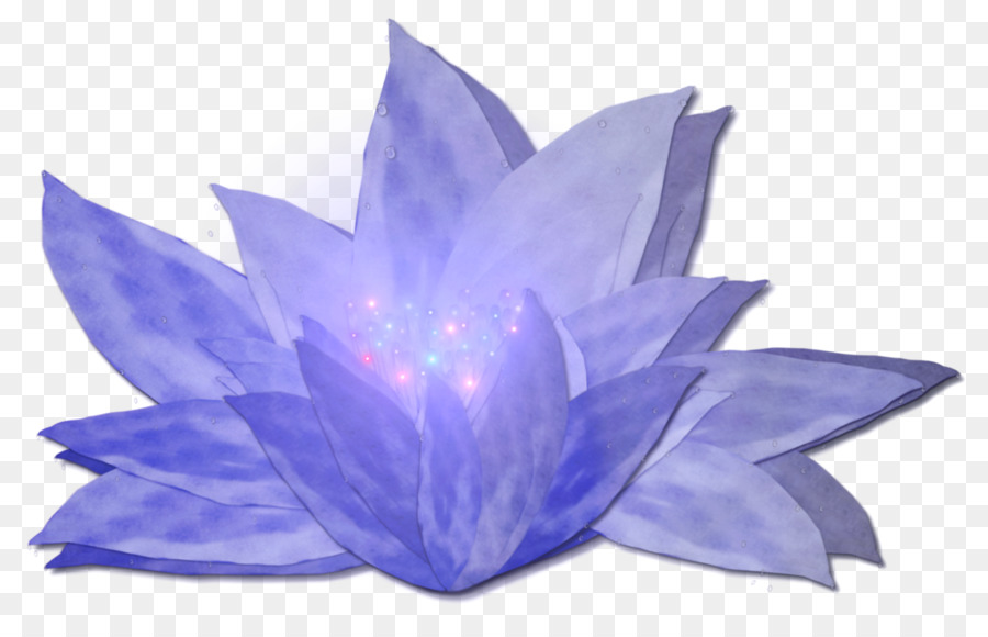 Fleur De Lotus，Fleurir PNG