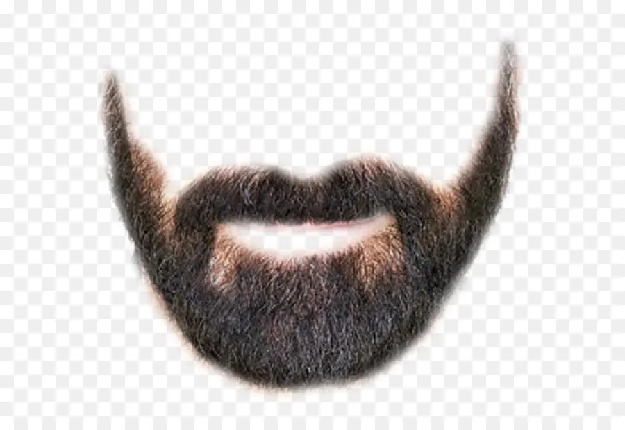 Barbe，Poils Du Visage PNG