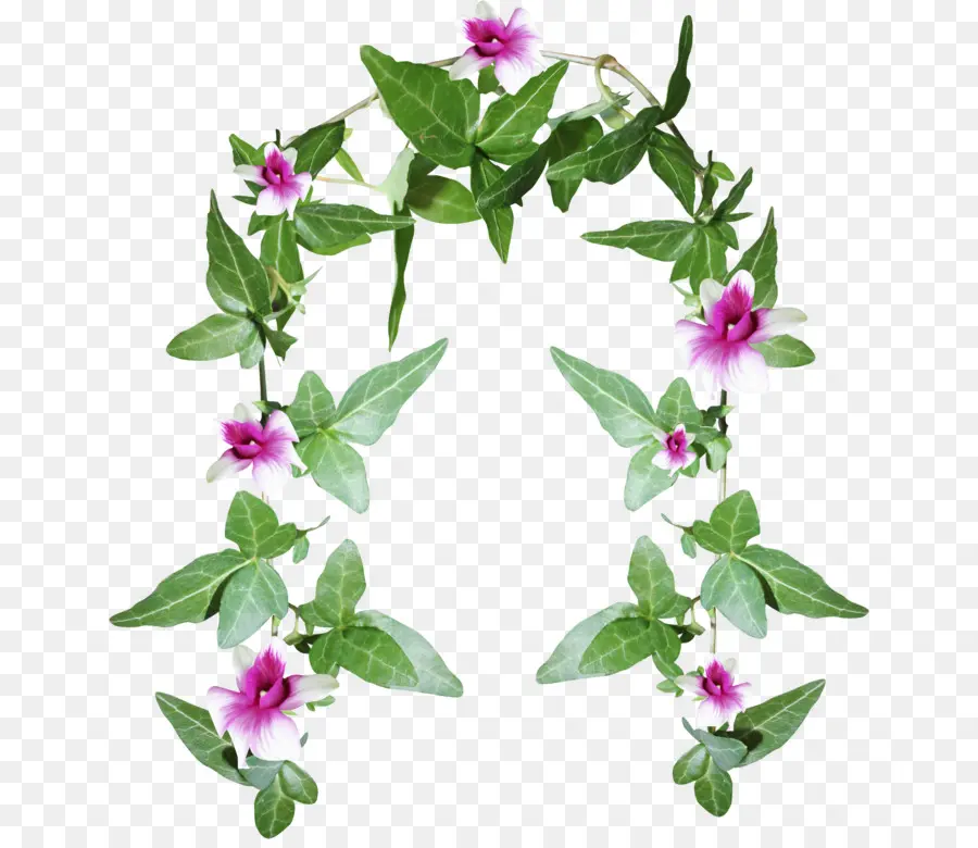 Guirlande De Fleurs，Fleurs PNG