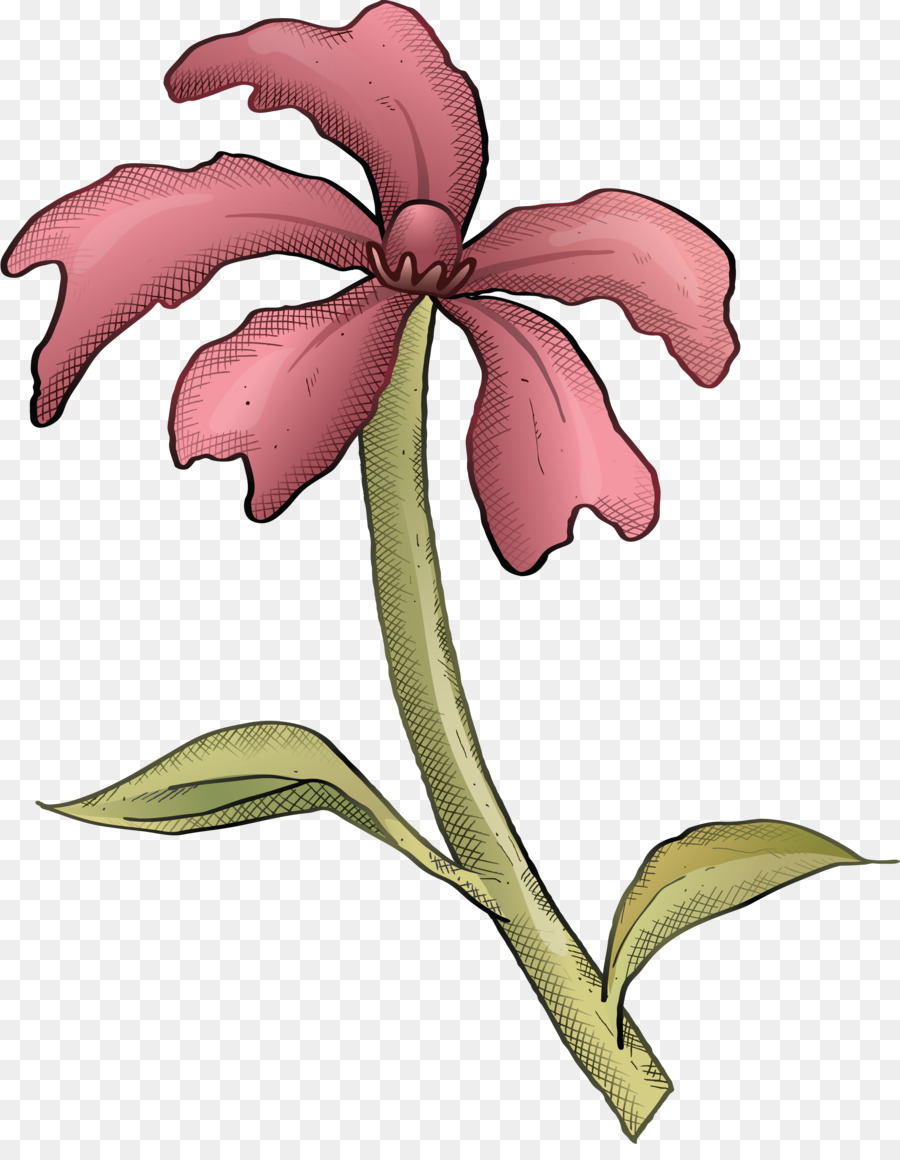 Fleur，Couper Les Fleurs PNG