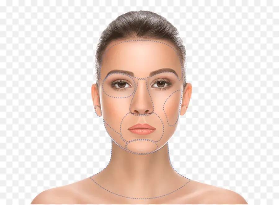 Diagramme Du Visage，Lignes PNG