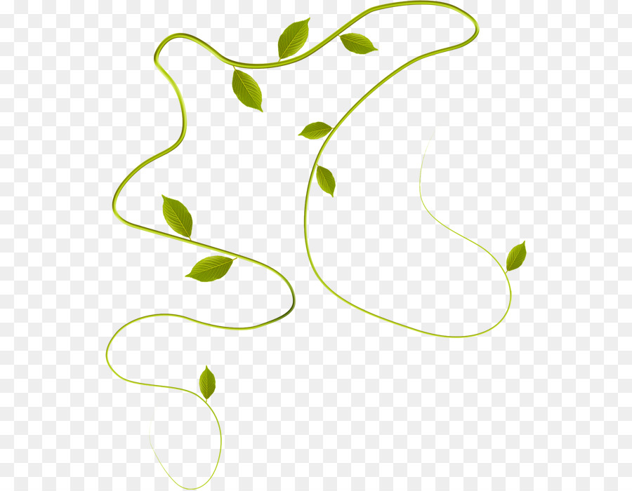 Vigne Verte，Feuilles PNG