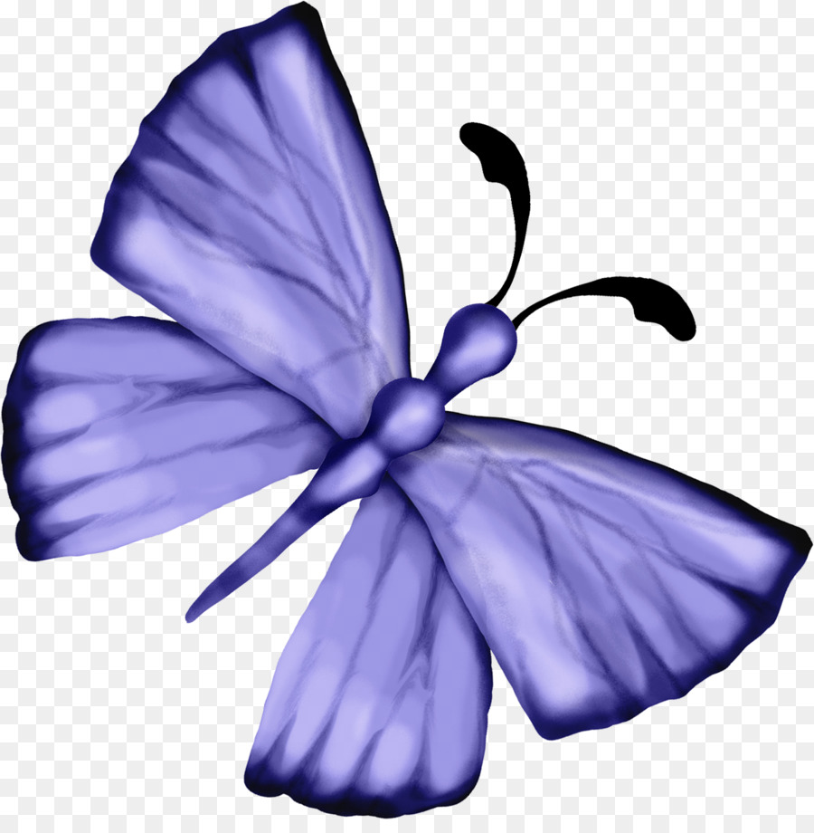 Violet，La Floraison De La Plante PNG