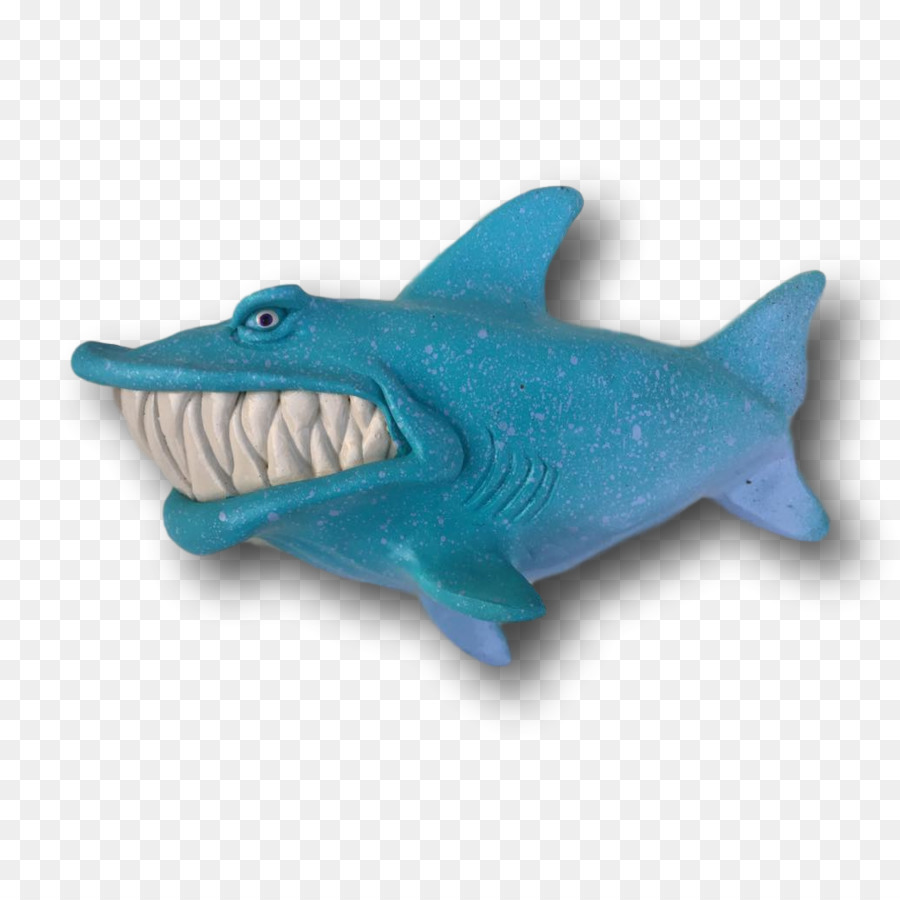 Requin，Turquoise PNG