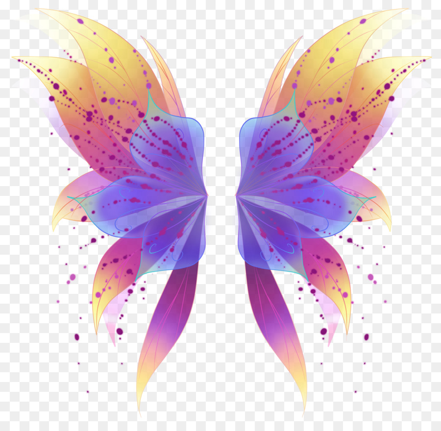 Ailes De Papillon，Insecte PNG