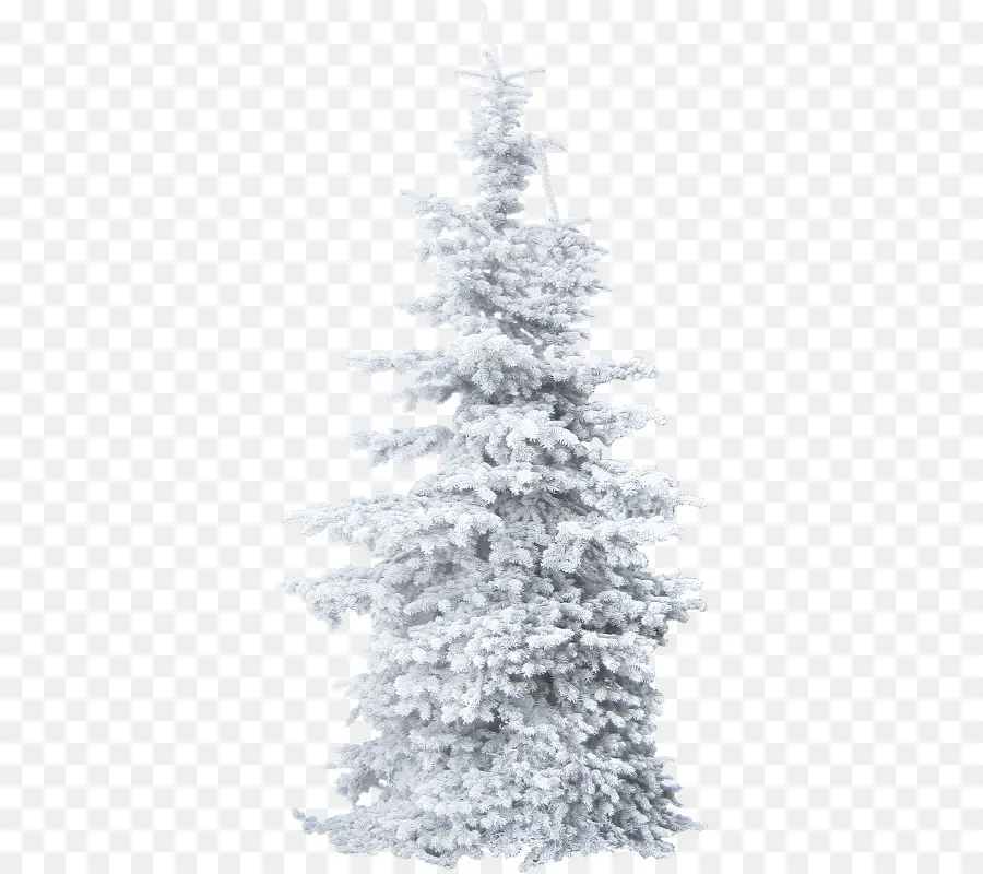 Arbre De Noël Enneigé，Hiver PNG