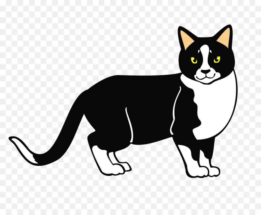 Chat Gris，Animal De Compagnie PNG