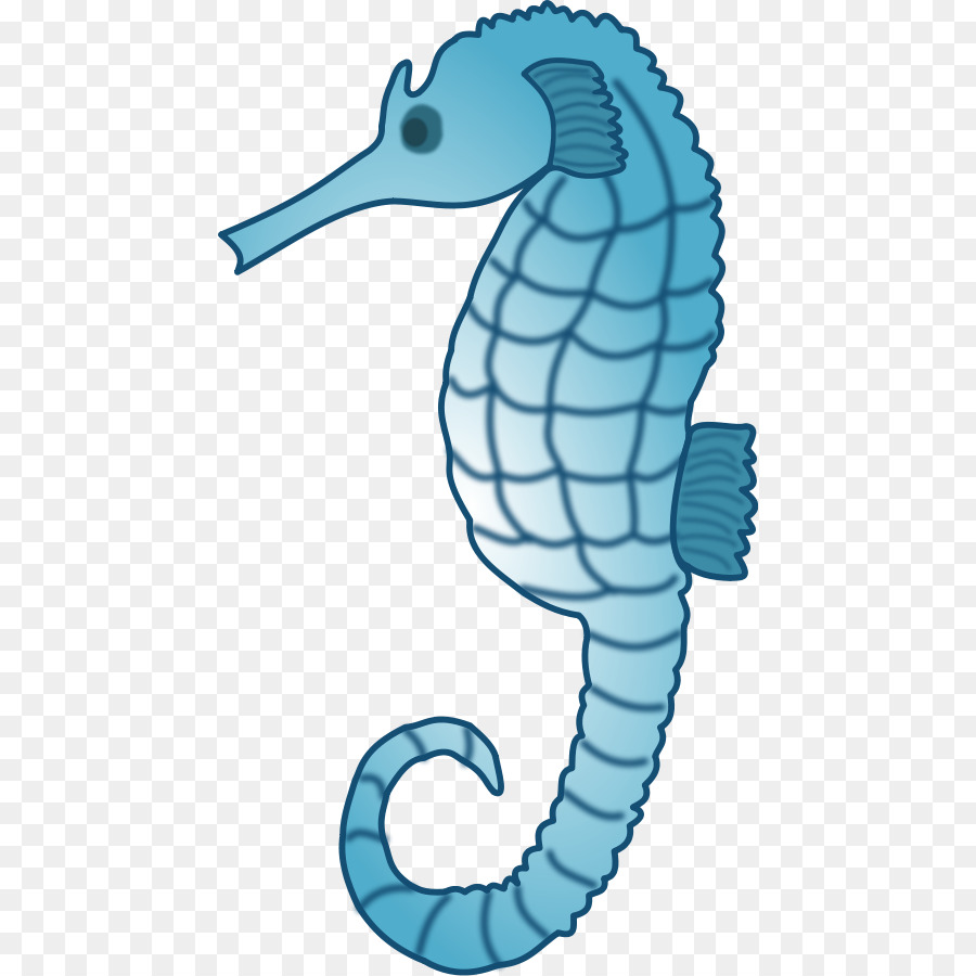 Hippocampe，Télécharger PNG