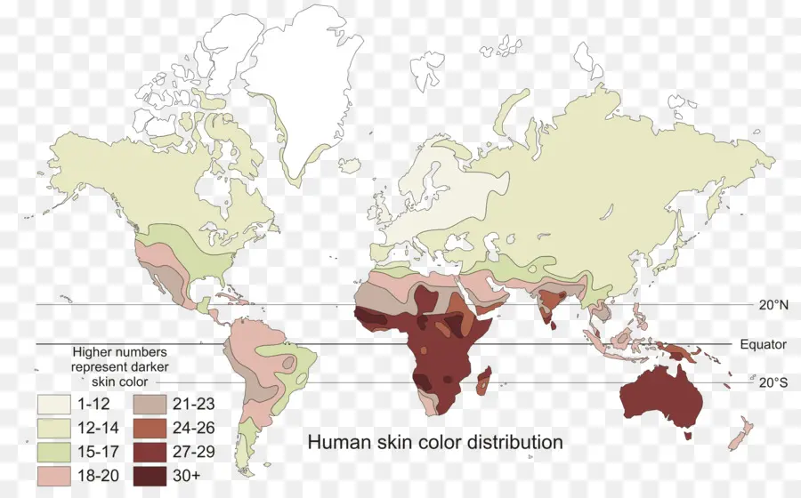 Carte Des Couleurs De Peau，Distribution PNG