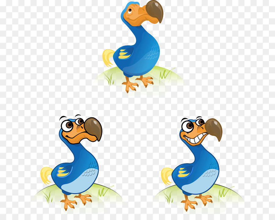 Dodo，Dessin Animé PNG