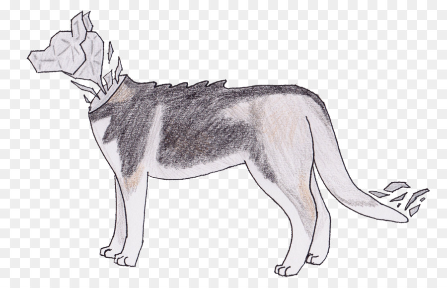 Saarloos Wolfdog，Husky Sibérien PNG
