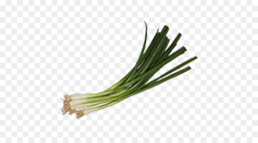 Oignons Verts，Nourriture PNG