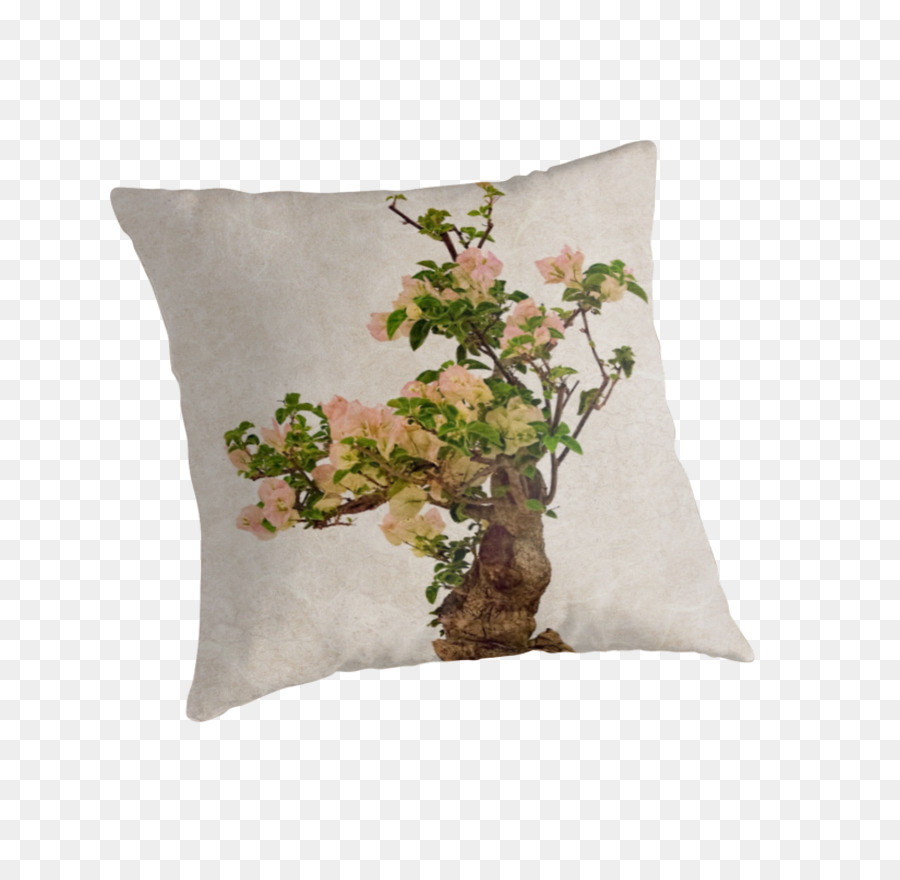 Coussin，Les Coussins PNG