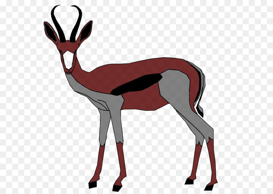 Springbok，Antilope PNG