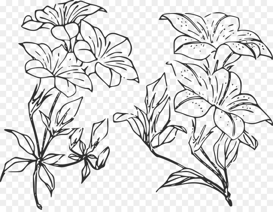 Fleurs，Feuilles PNG