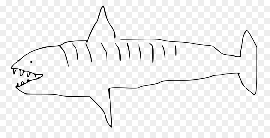 Requiem Requin，Requin PNG