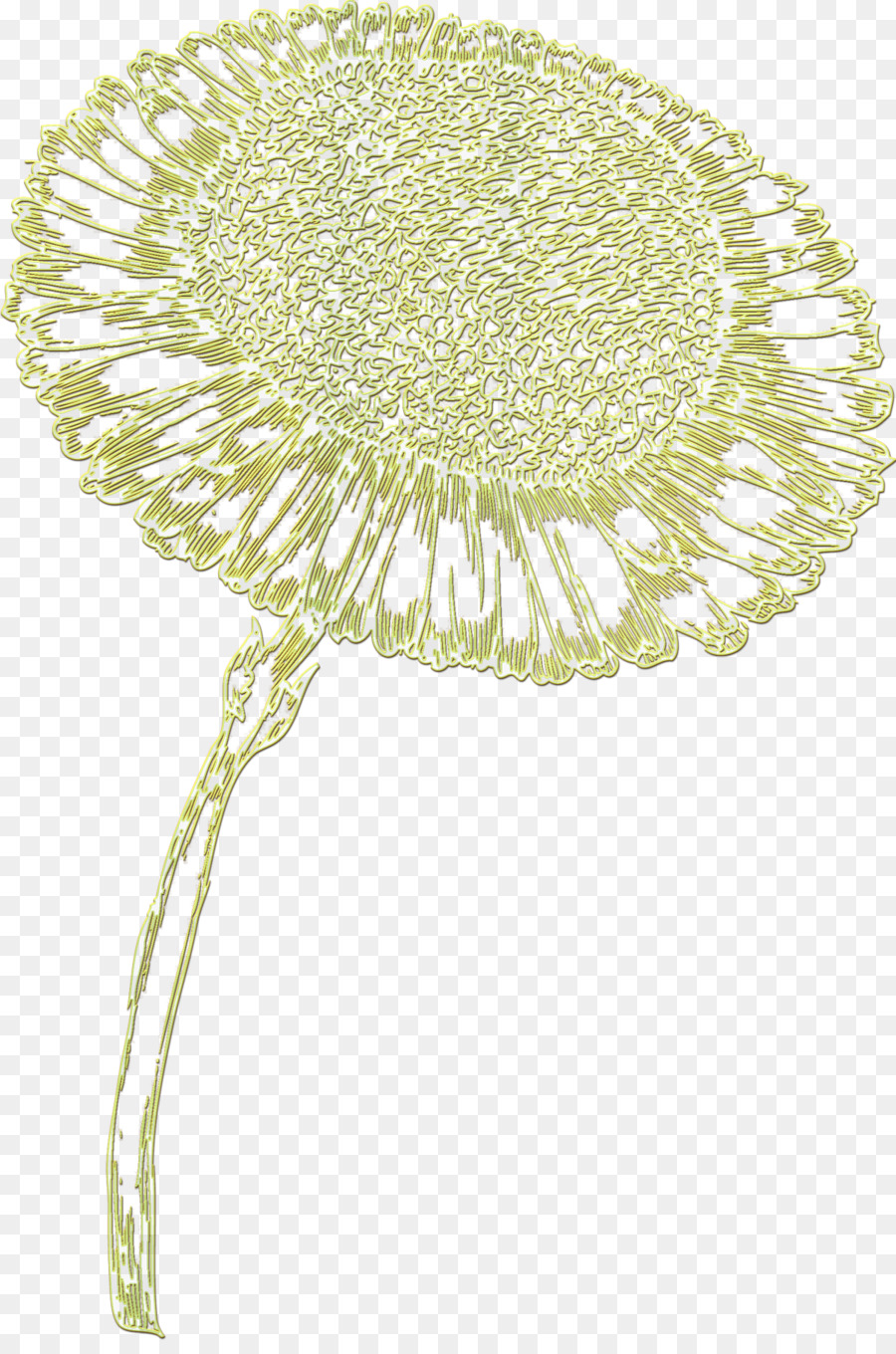 Fleur， PNG