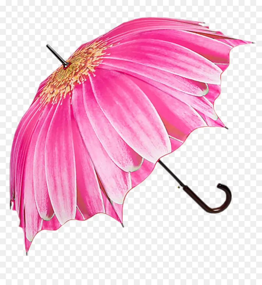 Parapluie à Fleurs，Rose PNG