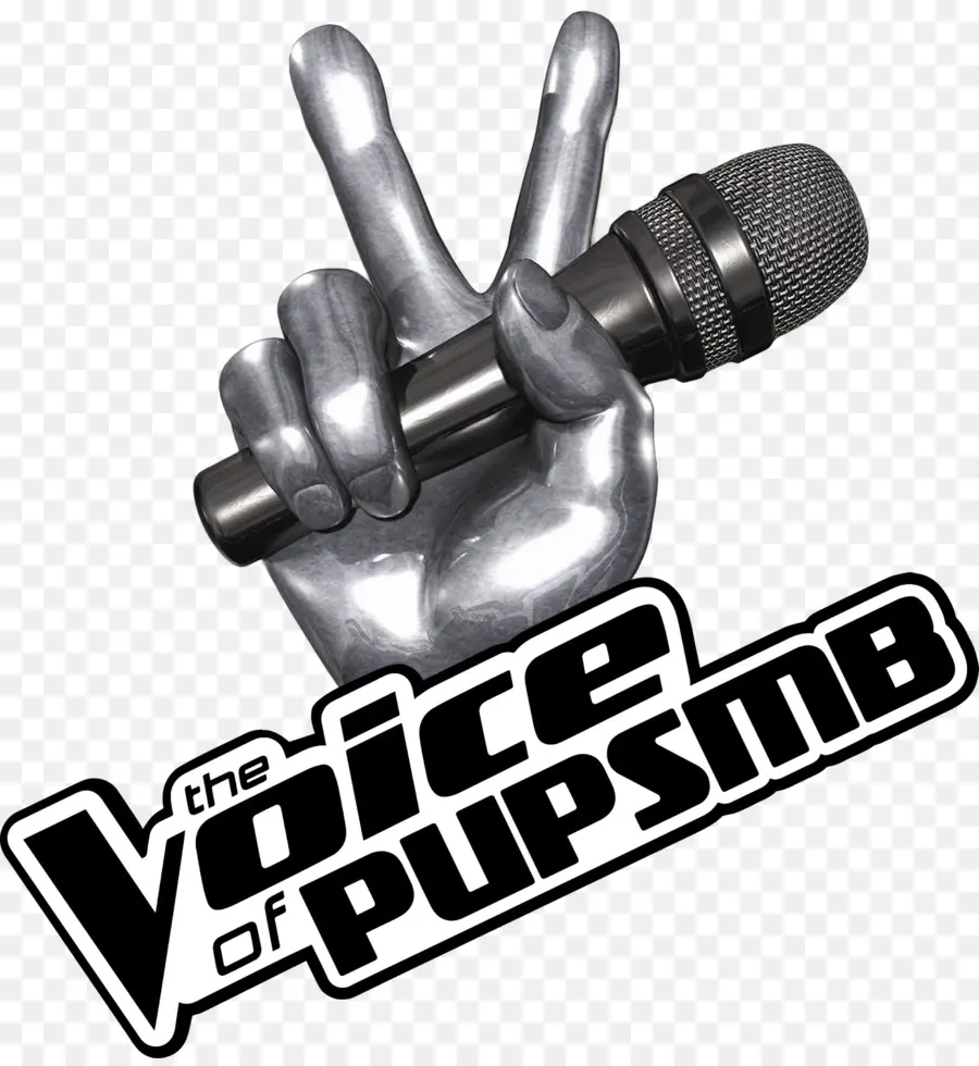 La Voix De Pupsmb，Microphone PNG