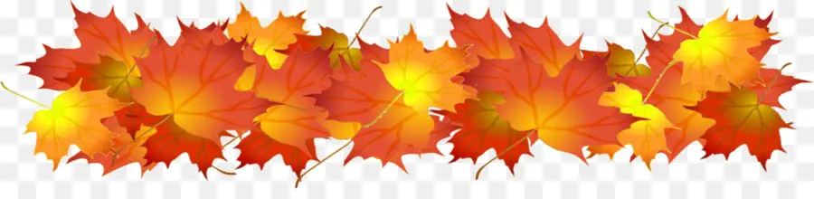 Feuilles D'automne，Automne PNG