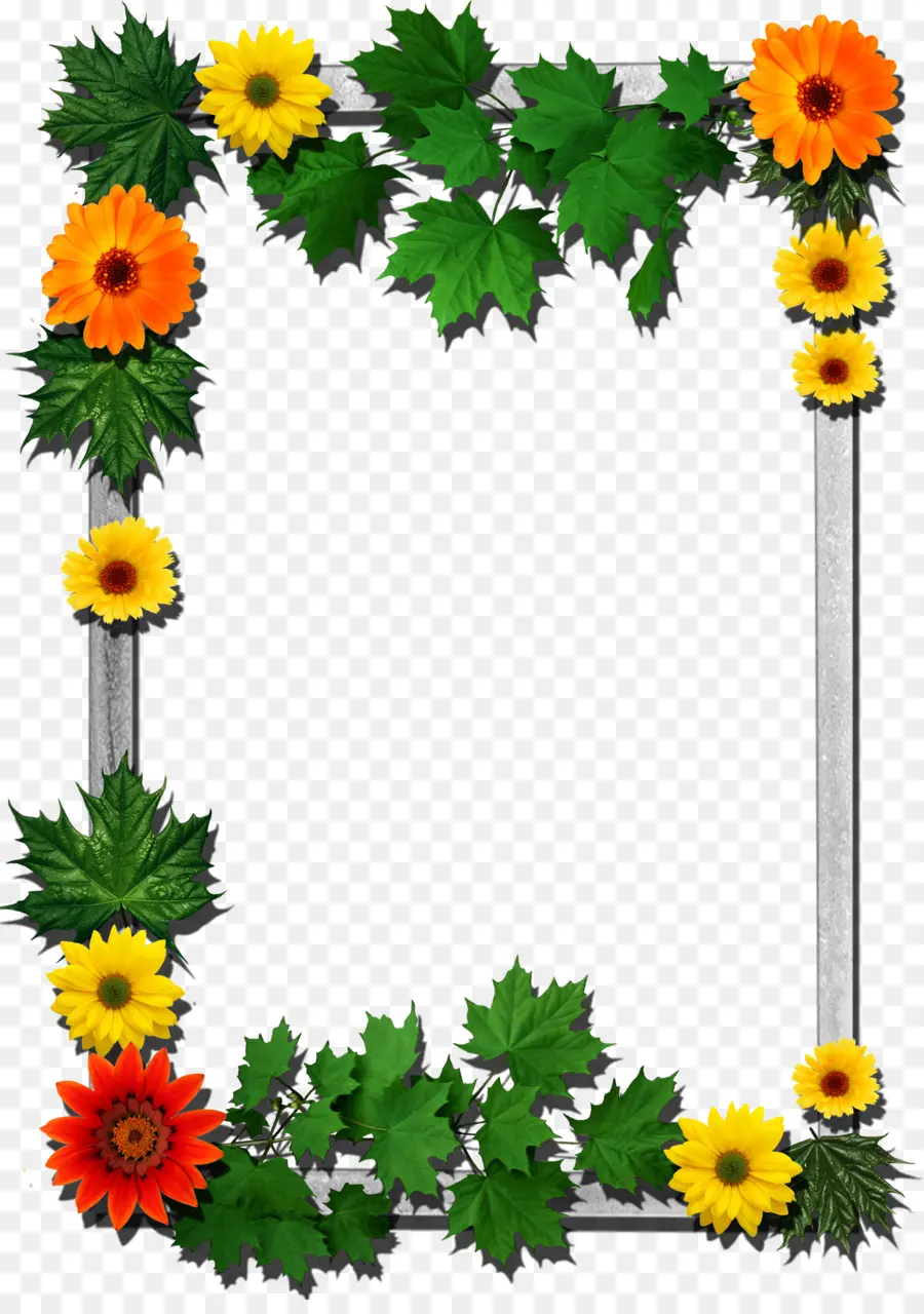 Cadre De Fleurs，Feuilles PNG