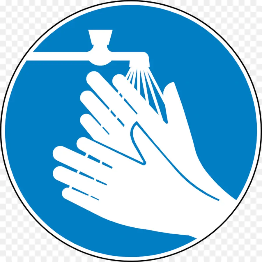 Lavage Des Mains，Mains PNG