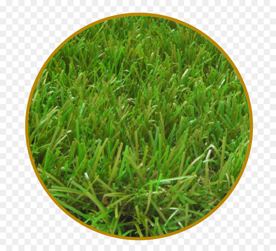 Herbe Verte，Cercle PNG