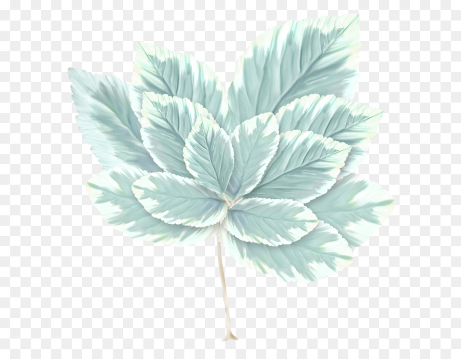 Feuille，Peinture à L Aquarelle PNG