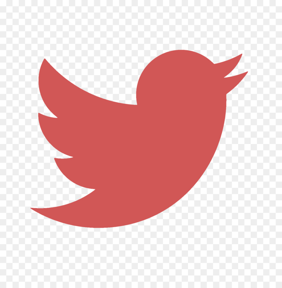 Logo Twitter，Oiseau PNG