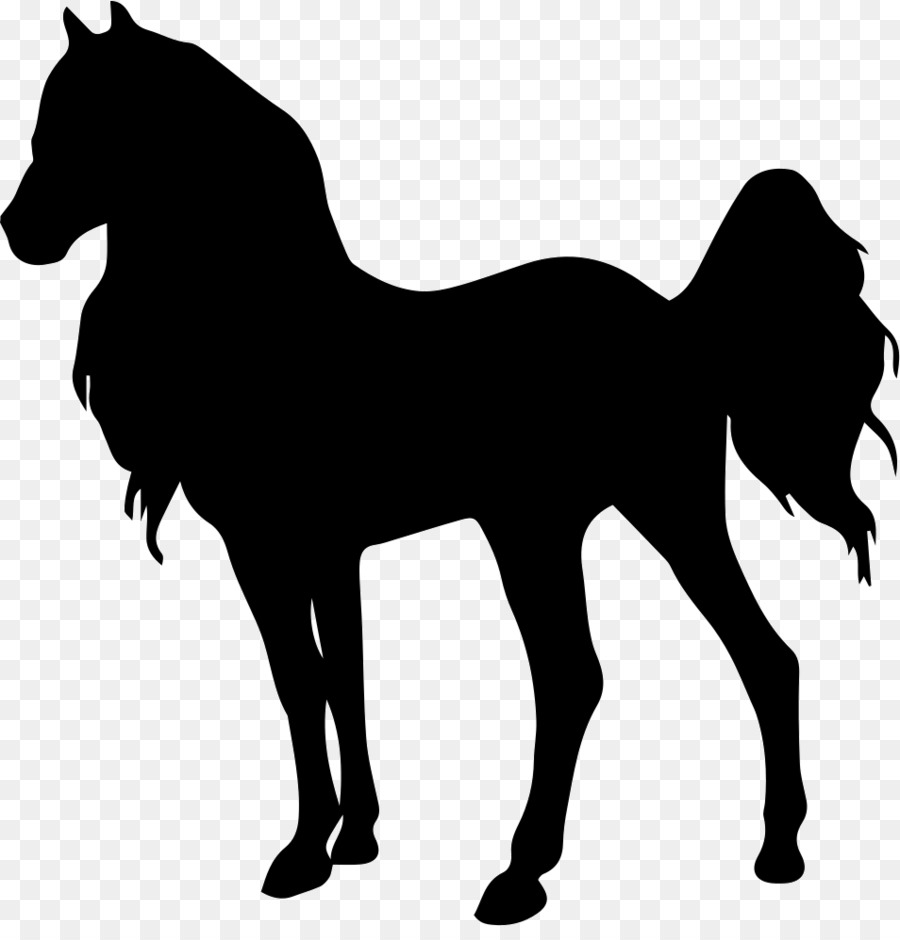 Silhouette De Cheval，Équin PNG