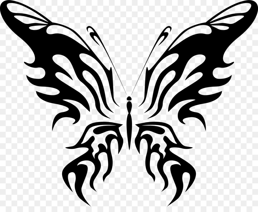 Papillon，Papillon De Nuit PNG