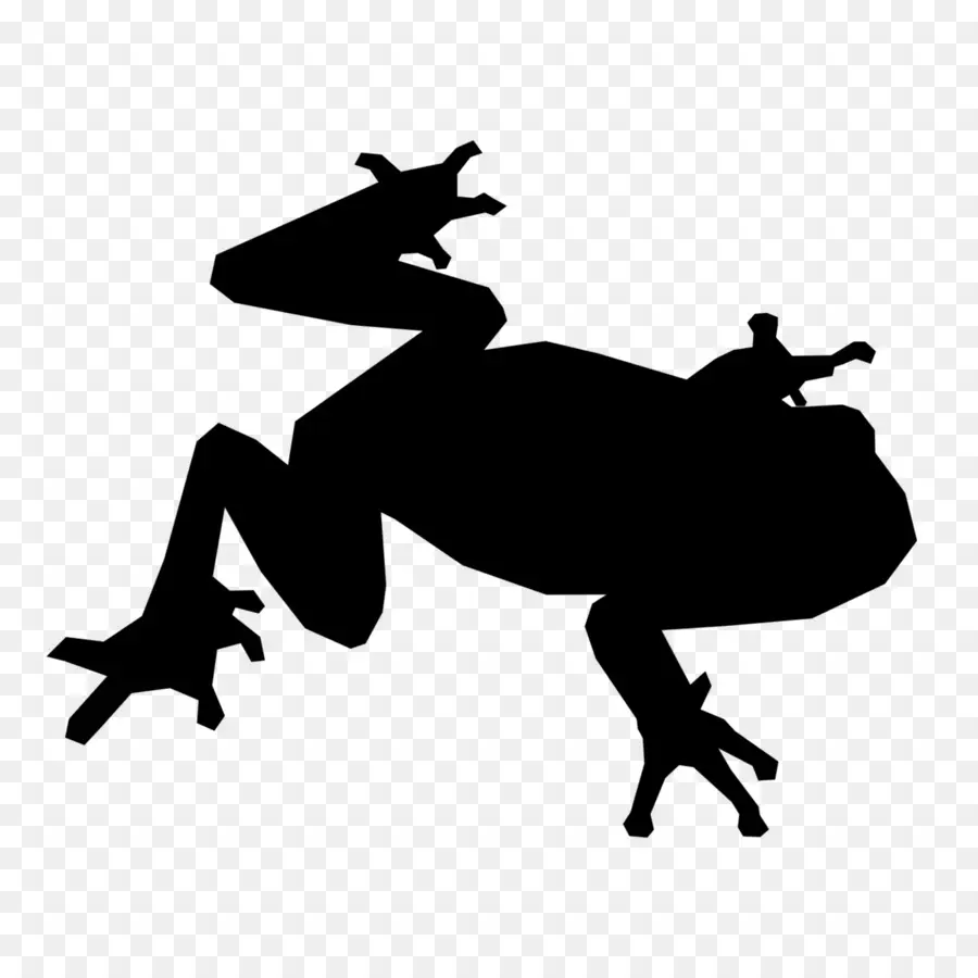 Silhouette De Grenouille，Amphibie PNG