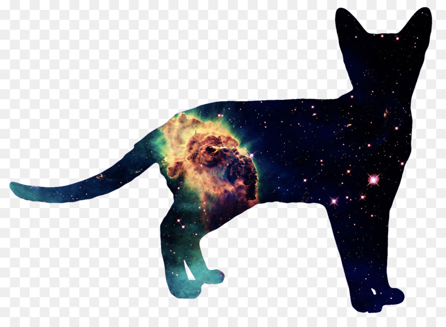 Chat，Chien PNG