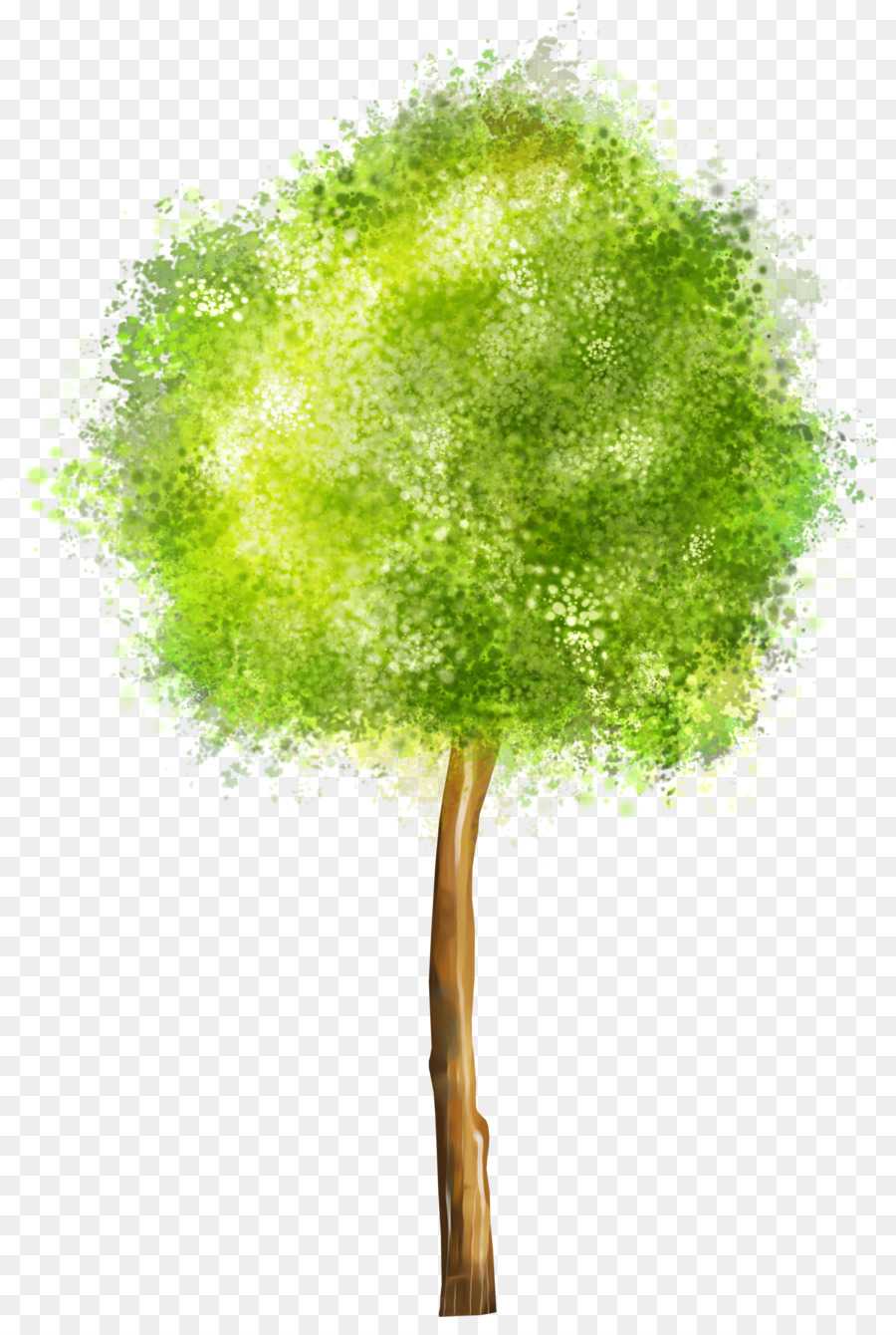 Arbre Vert，Usine PNG