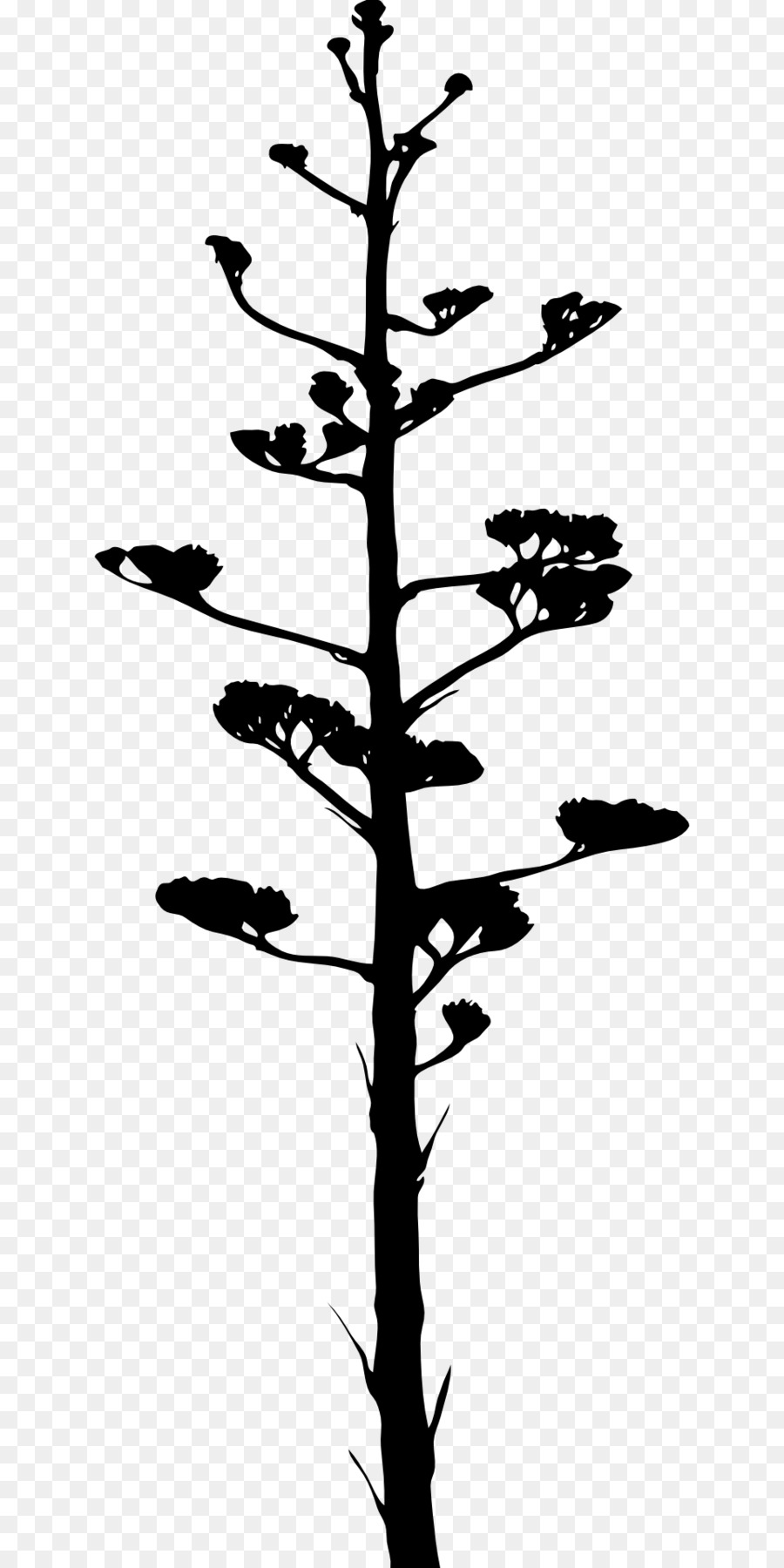 Silhouette D'arbre，Usine PNG