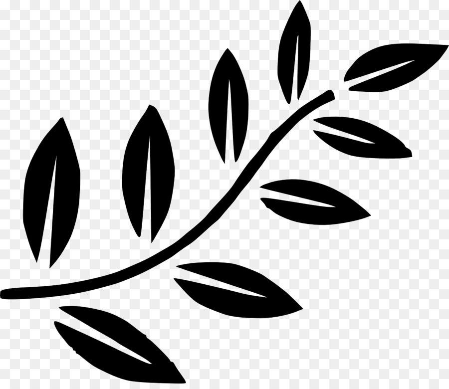 Conception Florale，Feuilles PNG